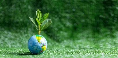 Close up of blue globe and tree on green grass on green blur nature background, earth day or world environment day concept. Green world and sustainable conservation of forest resources. photo