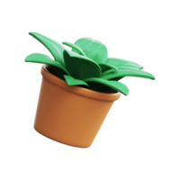 flor, planta com folhas em vaso. conceito de jardinagem. renderização 3D. png