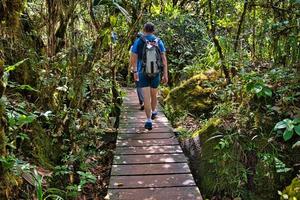 Mahe Seychelles 3.04.2023 Morn blanc nature trail, couple crossing the wooden bridge, Mahe Seychelles photo