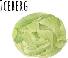 Watercolor illustration of green iceberg. Fresh raw vegetables. Iceberg lover illustration vector