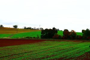 otoño tierras de cultivo en el eifel foto