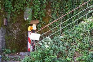 Blocked old Stairway with many plants photo