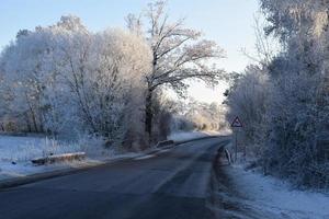 Winter Road through light Icy Forest photo