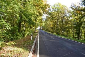 Road through sunny Autumn Forest photo