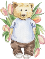 Watercolor drawing of a bear with a bouquet of tulips on his back png