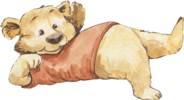 Watercolor drawing of a bear in a T-shirt funny lying on his back png
