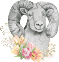 Argali head with horns framed by flowers png