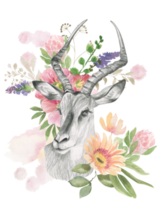 tête de une gazelle avec cornes encadré par fleurs png