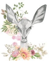 tête de une gazelle avec grand oreilles encadré par fleurs png