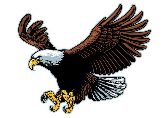 flying bald eagle in detailed style