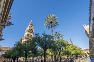 The mosque which was built when the city of Cordoba located in the Andalusia region was under the rule of Muslims is used as a mezquita and a church today. photo