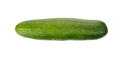 Pepino aislado para Fresco comida elemento png