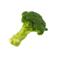 Fresh green broccoli isolated for healthy food element png