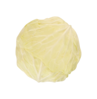 Whole cabbage isolated for fresh food design element png