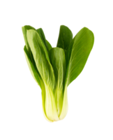 Fresh mustard greens isolated for vegetable design element png