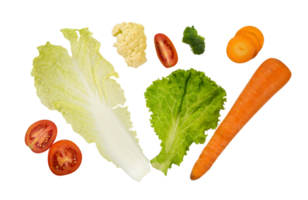 collection de Frais végétalien nourriture dans plat allonger composition png