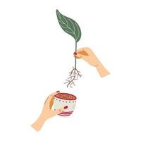 Human hands transplanting a sprout into a flowerpot. Spring saplings. Home gardening and plant care concept. Vector illustration.