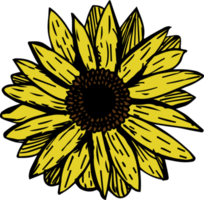 das Sonnenblume Symbol png
