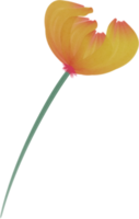 acuarela flor pintar png