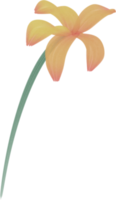 acquerello fiore dipingere png