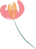 acuarela flor pintar png