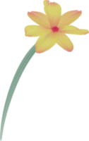 Aquarell Blume Farbe png