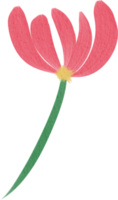 aquarelle fleur peindre png