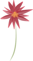 vattenfärg blomma måla png