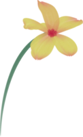 aquarelle fleur peindre png