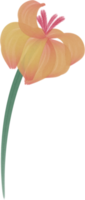 acquerello fiore dipingere png