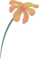 acquerello fiore dipingere png