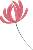 acuarela flor pintar png