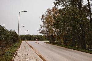 calma otoño paisaje con la carretera y arboles en un gris nublado día en Varsovia distrito en Polonia foto