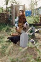 un mujer vierte comida dentro un pájaro alimentador mientras sentado en un pollo bolígrafo en el campo en un verano día en el luz de sol. el concepto de ecológico cuidado y orgánico agricultura foto