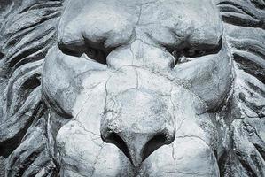 Lion sculpture portrait of gray stone, closeup photo