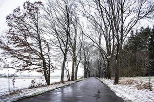 antiguo asfalto la carretera entre arboles en un Nevado frío invierno día en Polonia foto