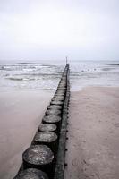 playa paisaje de el báltico mar en un calma día con un de madera rompeolas foto