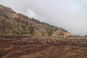 calm mountain landscape around Teide on the Spanish Canary Island Tenerife photo