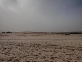 landscape from the Spanish Canary Island Fuerteventura with dunes and the ocean photo