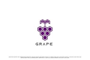 Grape wine hexagon logo design illustration. Purple hexagon wine vine grape berry alcohol fruit drink simple minimalist design. Creative idea modern fruit business icon design. vector