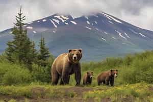 marrón oso y dos cachorros en contra un bosque y montaña fondo a Katmai nacional parque, Alaska foto