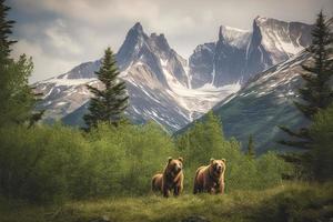 Brown Bear and Two Cubs against a Forest and Mountain Backdrop at Katmai National Park, Alaska photo