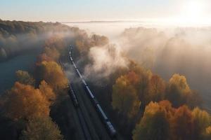 Aerial view of freight train in beautiful forest in fog at sunrise in autumn. Colorful landscape with railroad photo