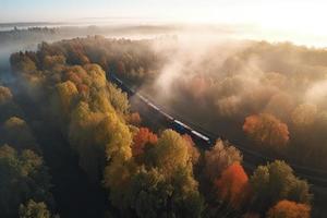 Aerial view of freight train in beautiful forest in fog at sunrise in autumn. Colorful landscape with railroad photo