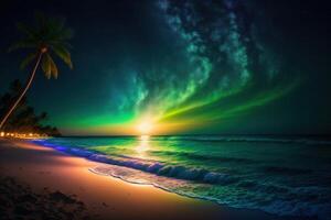 Night sea side coconut tree green lawnbeach star galaxy photo