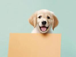 a cute happy golden retriever puppy with blank whiteboard on isolated pastel color background, playful and adorable pet, photo