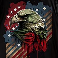 Grunge Patriotic American Bald Eagle - photo