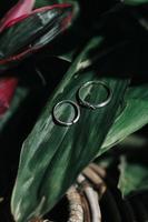 a pair of rings on a leaf photo