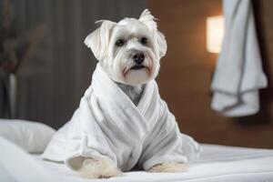 Dog is relaxing after bath. Pets spa, grooming salon, pet resort. Animal care service, bathing. Rest, relax, wellness. . photo