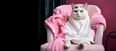 Cat is relaxing on pink armchair. Pets spa, grooming salon, pet resort. Animal care service, bathing. Rest, relax, wellness. Banner with copy space for text, advertising. . photo